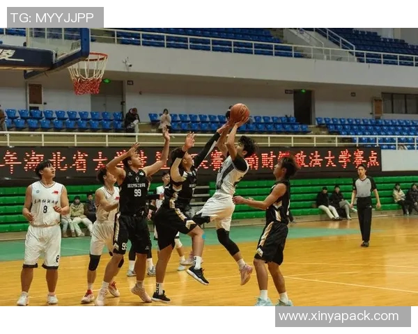 武汉篮球队实力强劲荣登全国篮球力量排行榜第三名