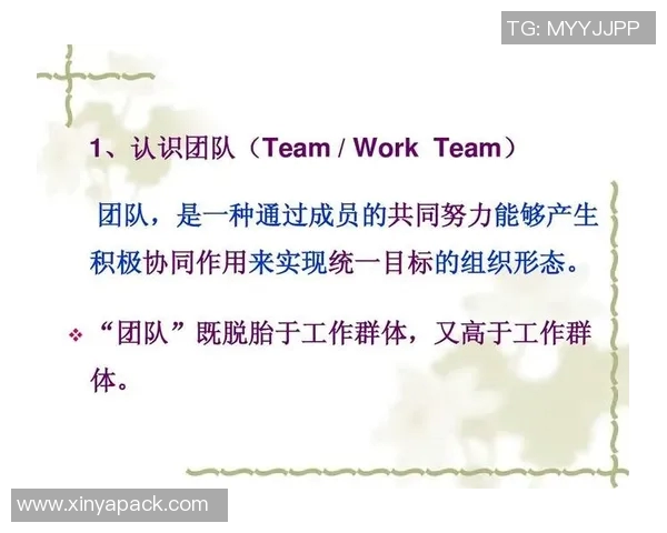 西安羽毛球队挑战赛点评：意识表现与团队协作的深度分析