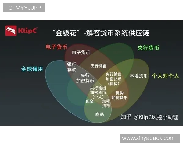 西安篮球队运营分析：成功经验与不足之处的深度探讨