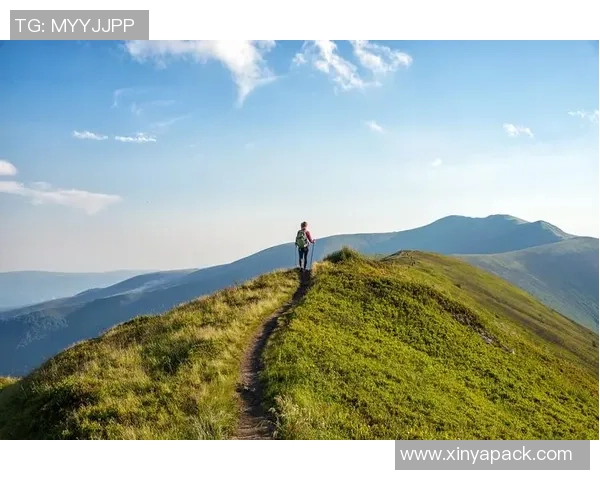 足球明星背影动漫图展现运动魅力与青春梦想的完美结合